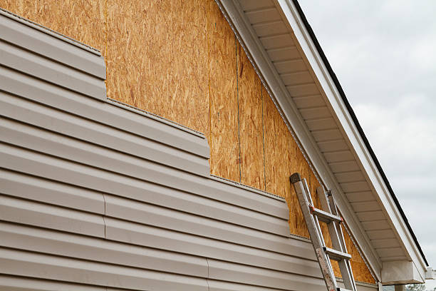 Professional Siding Repair technician working in Algonquin, IL